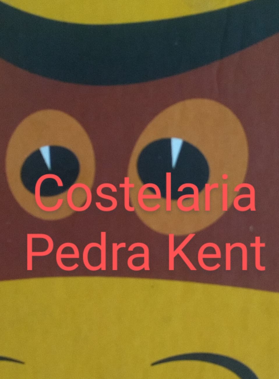 Costelaria Pedra Kent