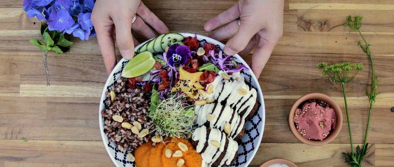 Greengo Vegetariano