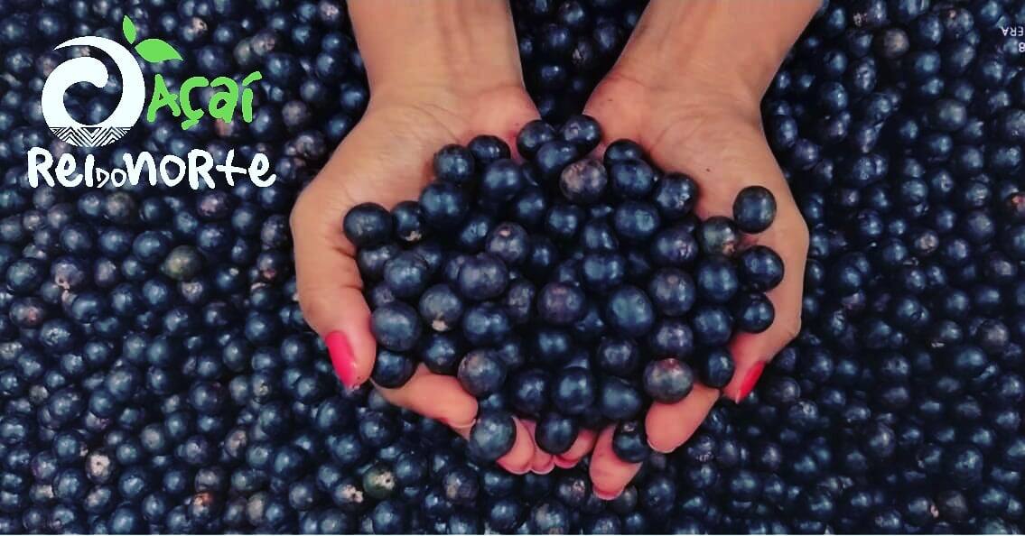 Açaí Rei do Norte