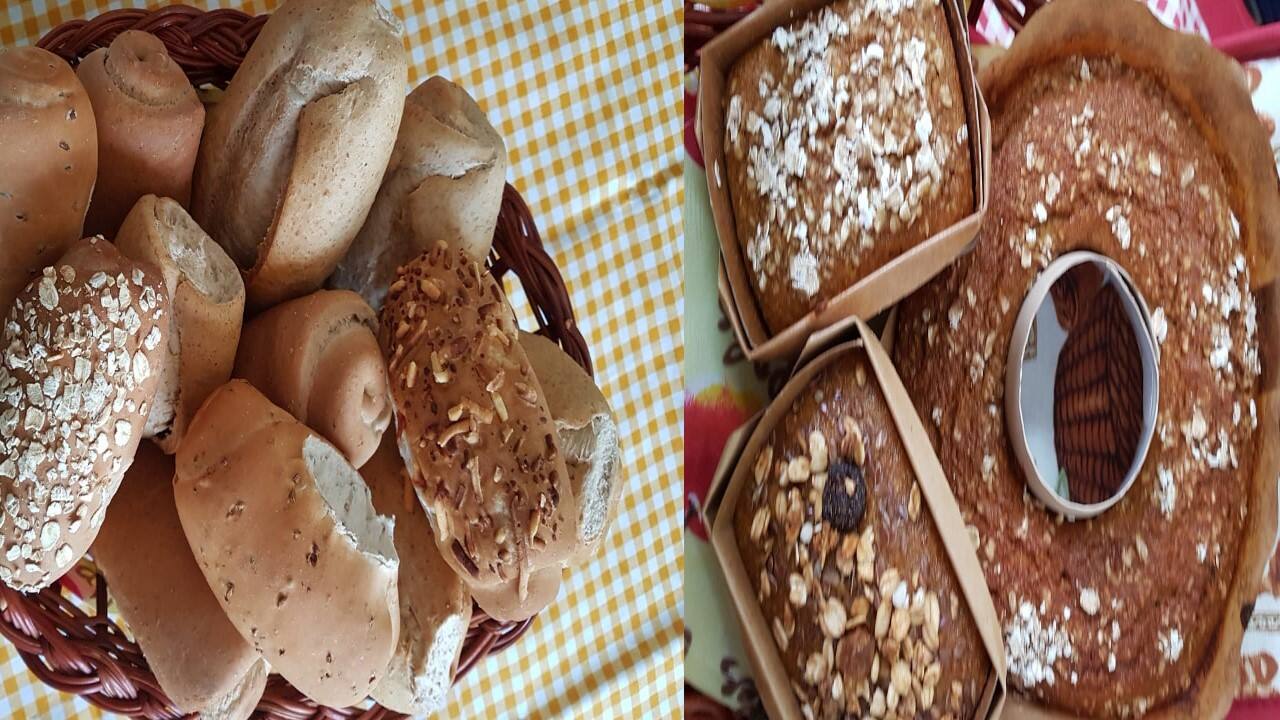 Master Alimentos