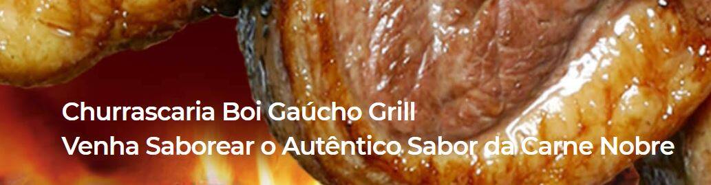 Boi Gaucho II