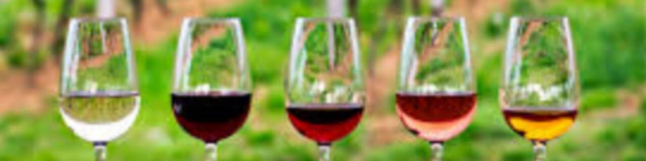 C`vino Wine Bar