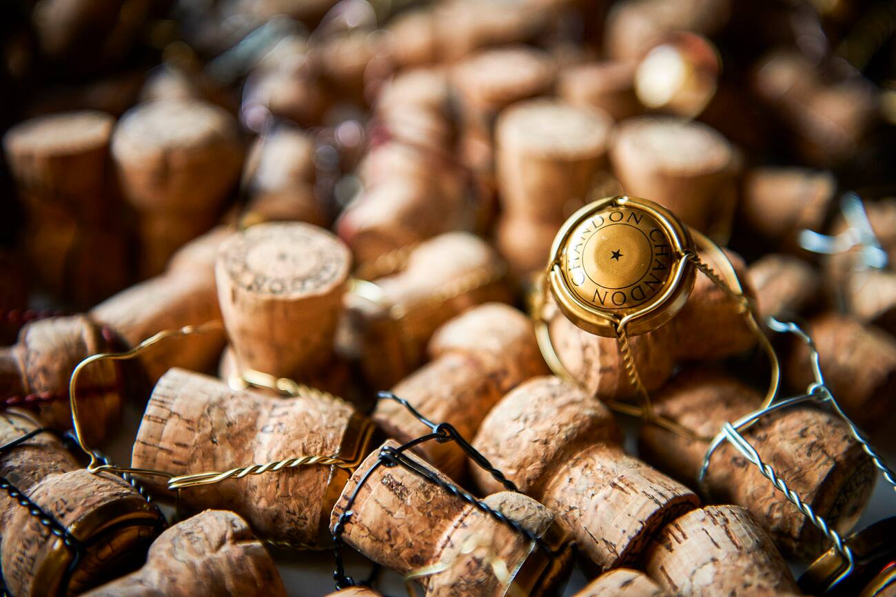 Chandon - Loja Oficial