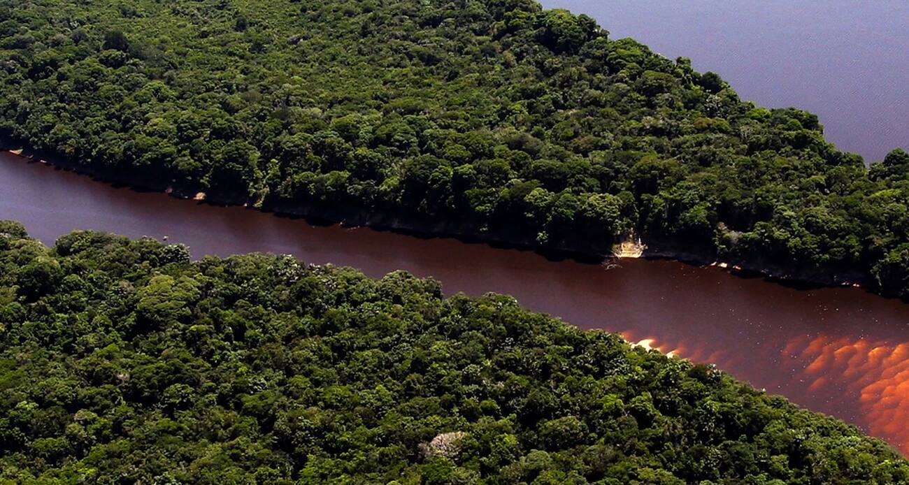 Cocar & Co. - Juruá Amazônia
