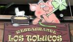Logotipo Los Tolucos