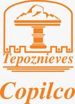 Logotipo Tepoznieves Copilco