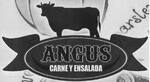 Logotipo Angus