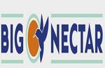 Logotipo Big Nectar