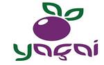Logotipo Yaçaí - Açaí e Refeições