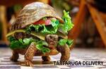 Logotipo Tartaruga Delivery