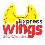 Logotipo Express Wings