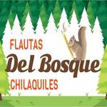 Logotipo Del Bosque
