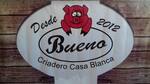 Logotipo Carnitas Bueno
