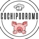 Logotipo Cochipodromo