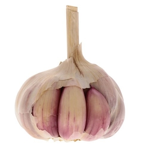 Alho Embalado