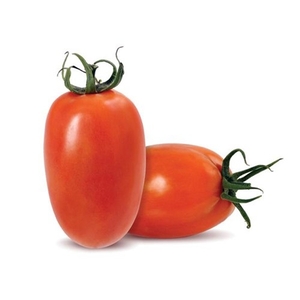 Tomate Italiano Saladete Hortmix 500g