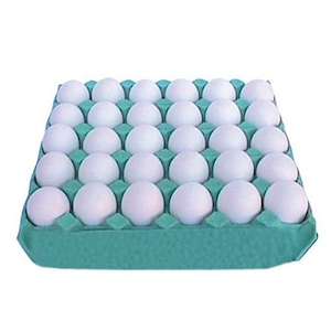 Ovo Branco Grande Ovos Modelo Bandeja Pvc 30 Un