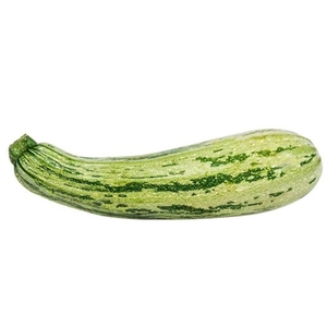 Abobrinha Italiana
