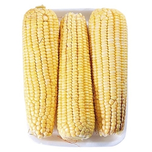 Milho Verde 750g