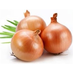 Cebola Camilo Legumes Kg