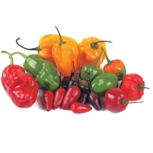 Pimenta Diversas Un
