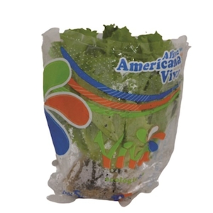 Alface Americana Viva Unidade