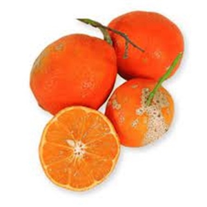 Limão Rosa Marcelino 400g