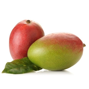 Manga Palmer Hort Mix 400g