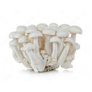 Cogumelo Shimeji Branco Chácara Brasil 200g