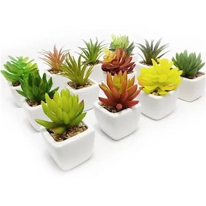 Suculentas Artificiais Mini Vaso Cerâmica Branco Toque Real