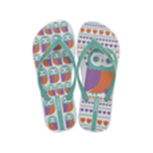 Chinelo Ipanema sem Igual Branco e Verde Nº33/34