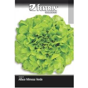 Alface Mimosa Verde Feltrin