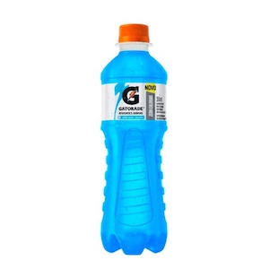 Isotônico Zero Sabor Frutas Silvestres Gatorade 350ml