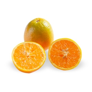Laranja Valencia