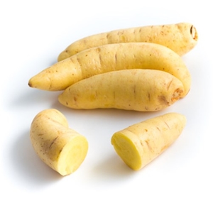 Mandioquinha Novata