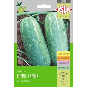 Sementes de Super Pepino Caipira Isla