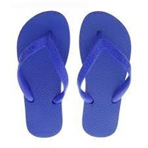 Chinelo Ipanema Clássico Cor Azul N23