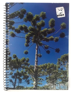 Caderno Capa Dura Plug 96 Folhas
