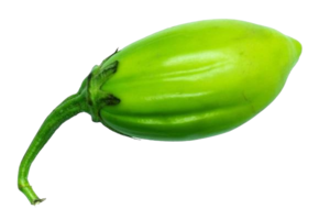 Jilo
