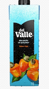 Suco Del Valle Néctar Cajú Sem Açúcar 1l