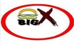 Logotipo Big X