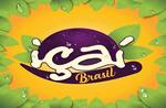 Logotipo Içaí Brasil