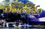 Logotipo Pesque e Pague Dourado