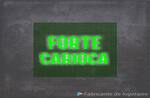 Logotipo Forte Carioca