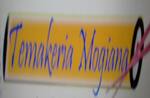 Logotipo Temakeria Mogiana