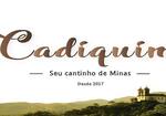 Logotipo Cadiquim