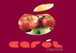 Logotipo Carol Siqueira - Nutrição Com Amor