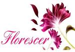 Logotipo Florescer Lanches