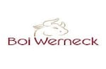 Logotipo Boi Werneck