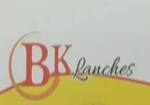 Logotipo Bk Lanches